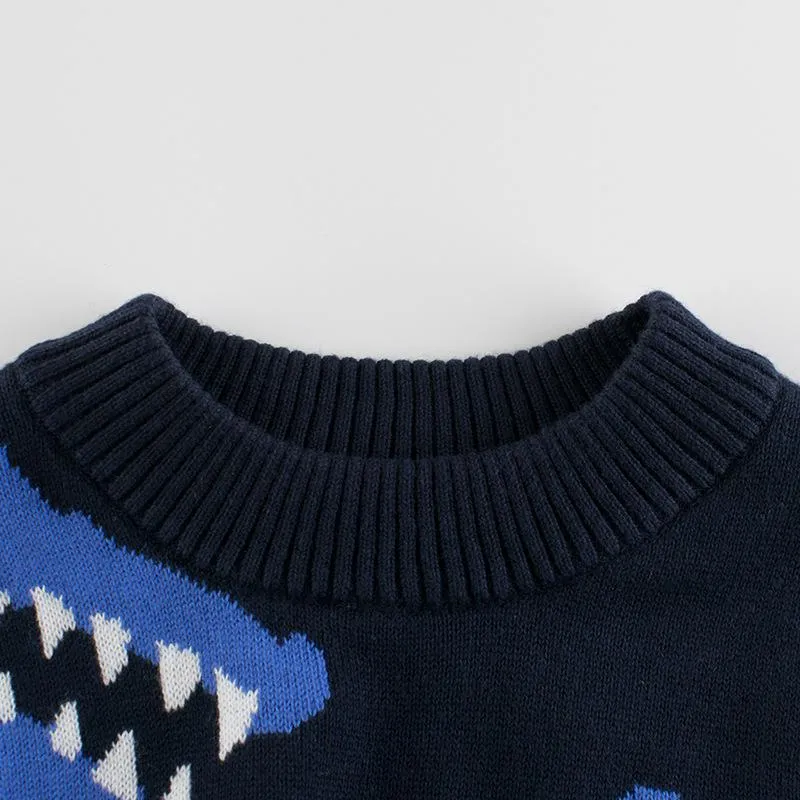 Toddler Boy's Dinosaur Print Sweater