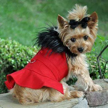 Wool Fur-Trimmed Harness Coat - Red